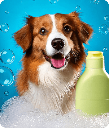 Pet Quimihouse