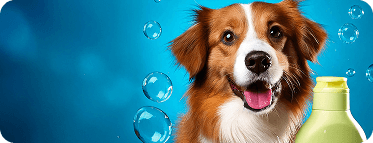 Pet Quimihouse